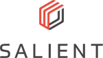 Salient Systems