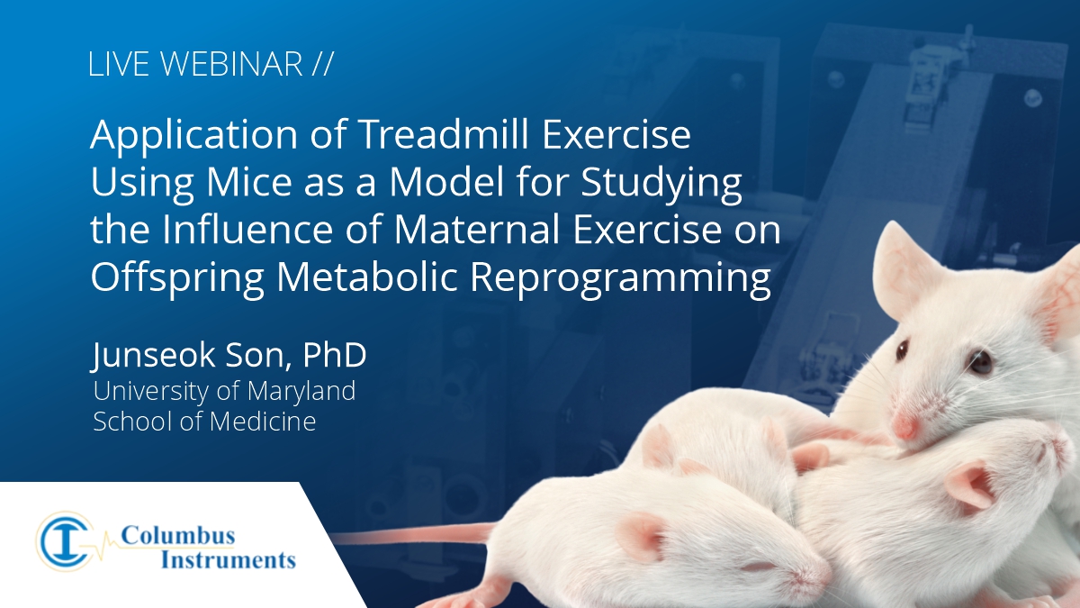 Treadmill Exercise in a Mouse Model for Studying Influence of Maternal