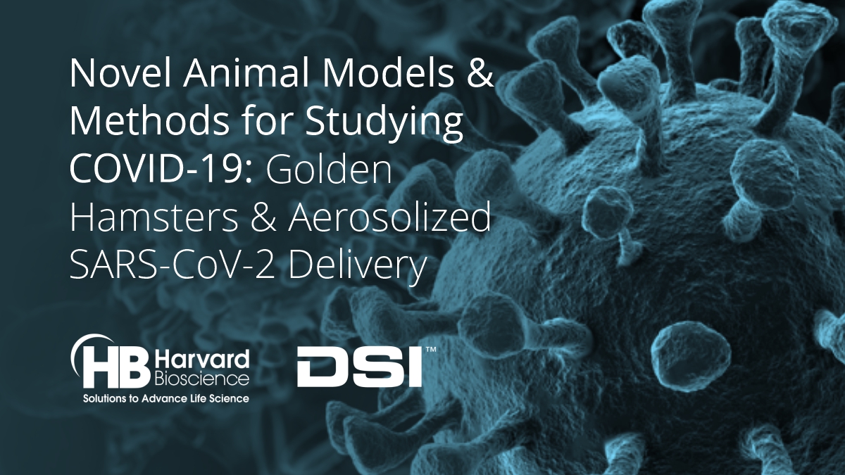 Novel Animal Models and Methods for Studying COVID19 Golden Hamsters