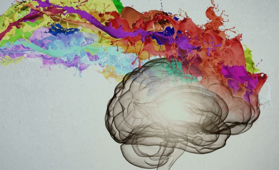 Reductions in Impulsivity in an Animal Model of Attention Deficit