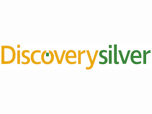 Discovery Silver Corp. Logo